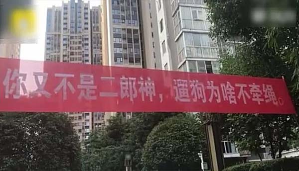 寵物牽引