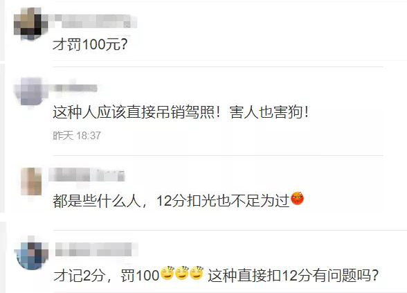 寵物牽引繩