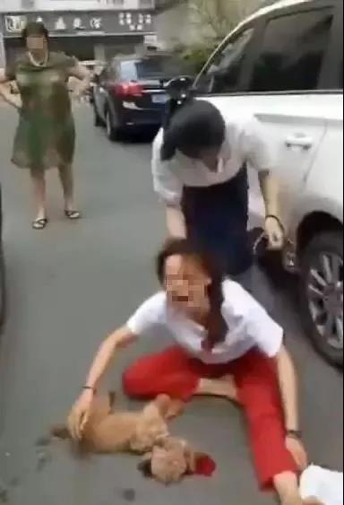 寵物牽引繩