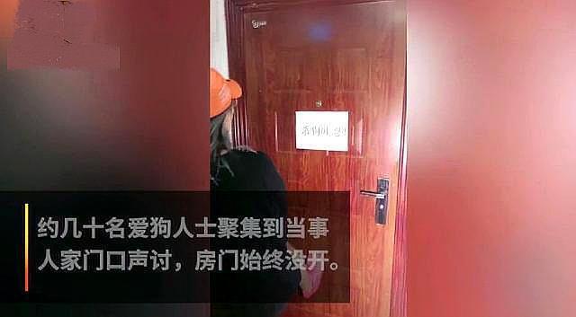 寵物牽引繩