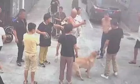 寵物牽引繩