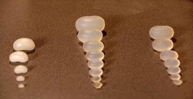 寵物用品