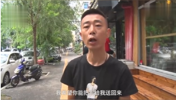 寵物牽引繩